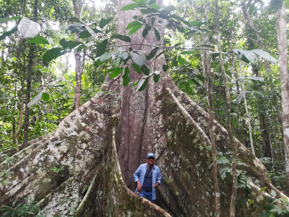 Willa Uni Rao Centro Ecologico Pucallpa Zewnętrze zdjęcie