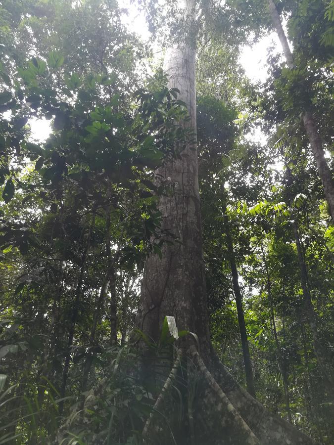 Willa Uni Rao Centro Ecologico Pucallpa Zewnętrze zdjęcie